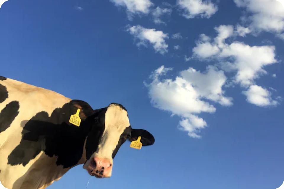 Grafico de cumplimiento de tareas y rendimiento de ingresos