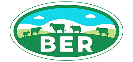 BER Logo